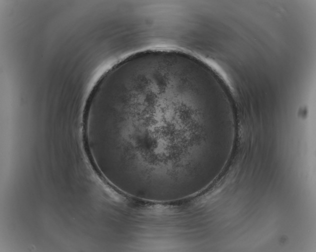 X0000091371327200708171537