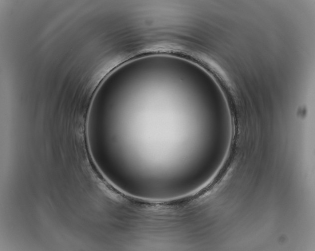 X0000091371329200708171537