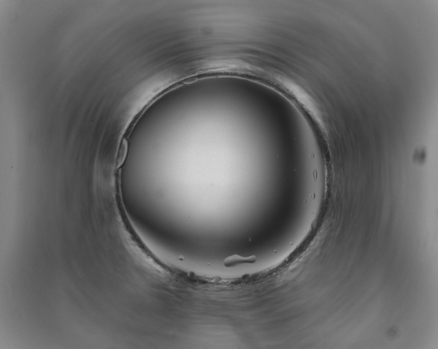 X0000091371330200708171537