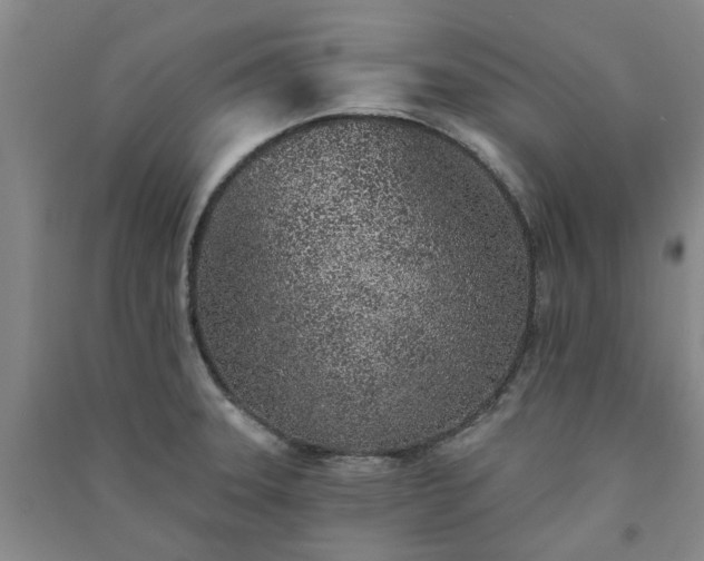 X0000091371331200708171537