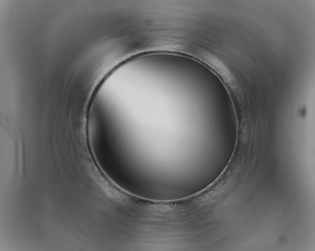 X0000091371332200708171537