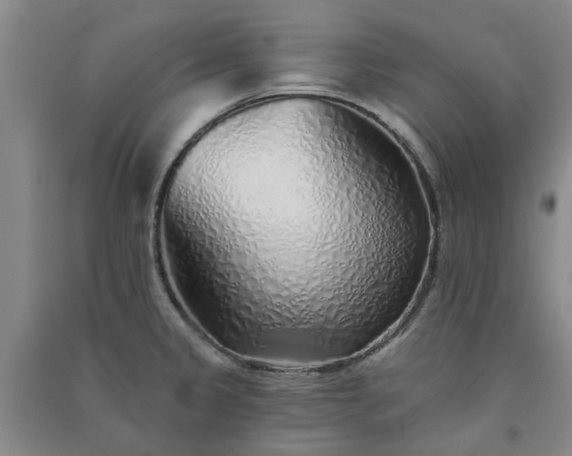 X0000091371333200708171537