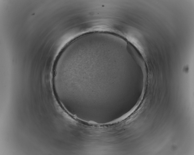 X0000091371334200708171537