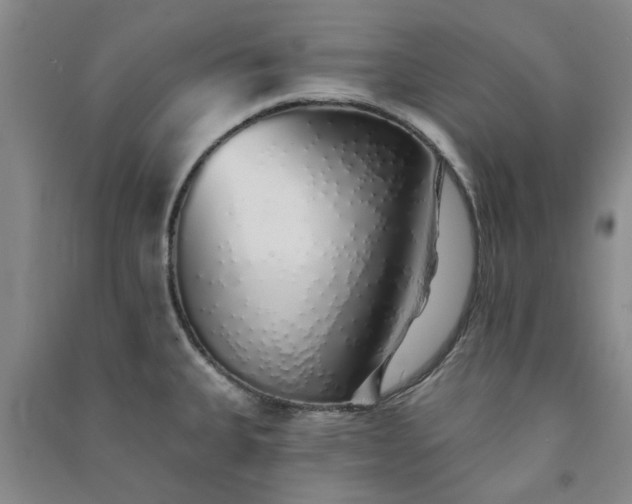 X0000091371335200708171537