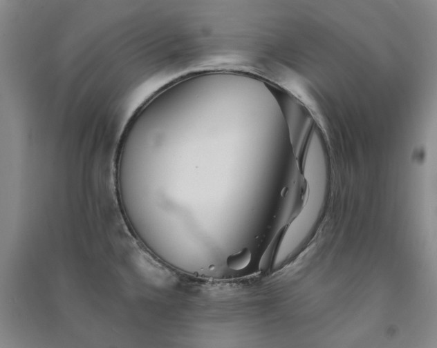 X0000091371336200708171537