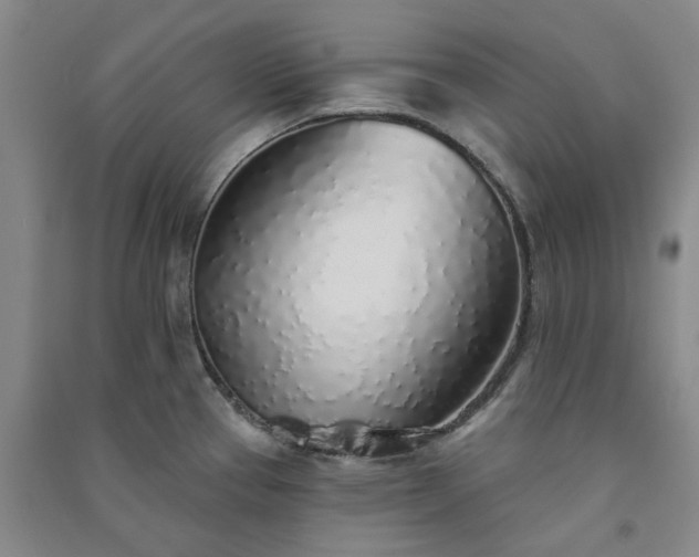 X0000091371337200708171537