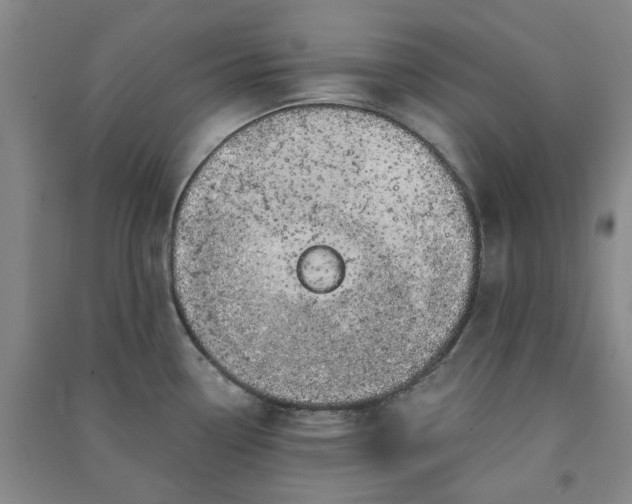 X0000091371338200708171537