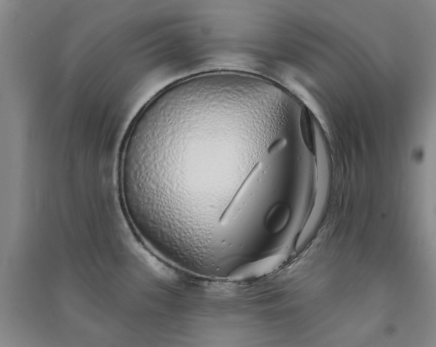 X0000091371339200708171537