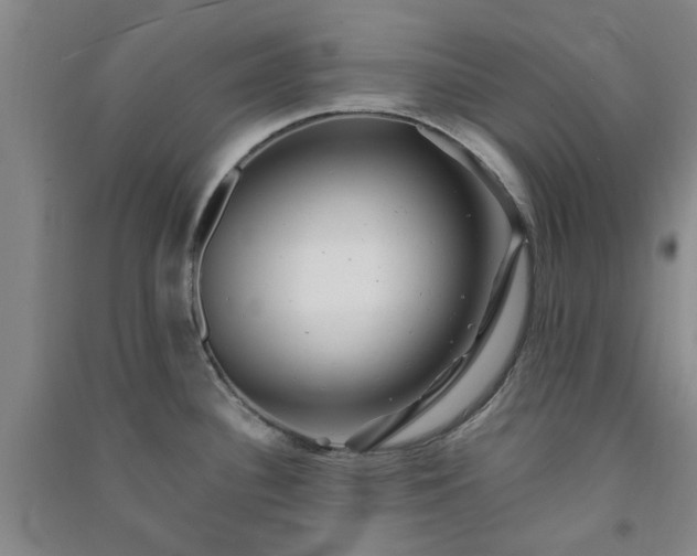 X0000091371340200708171537