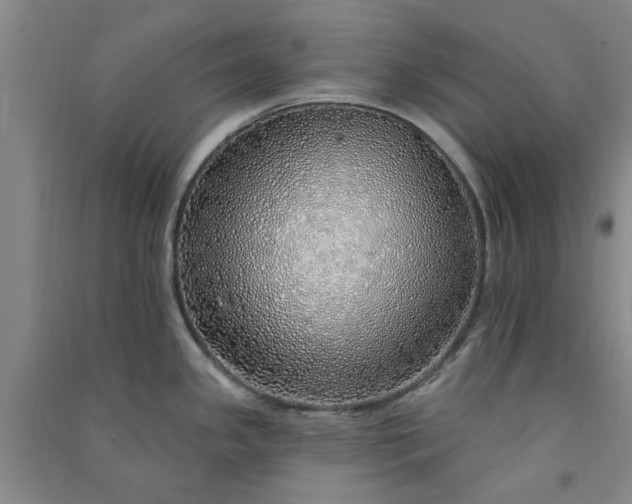 X0000091371341200708171537