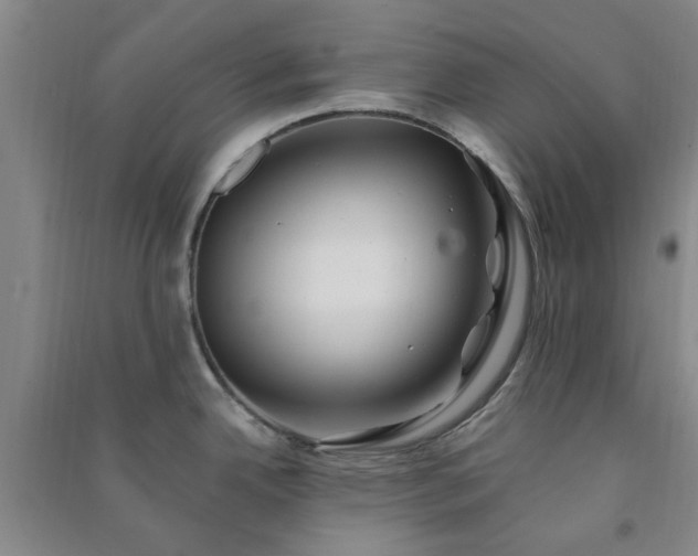 X0000091371342200708171537