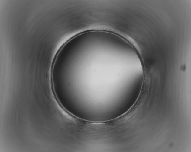 X0000091371343200708171537