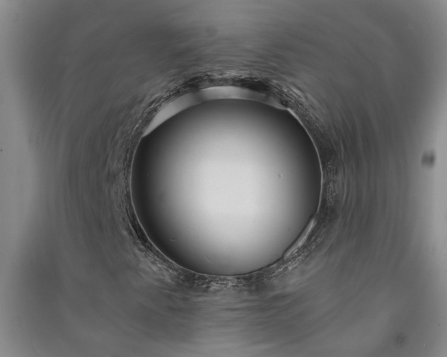 X0000091371345200708171536