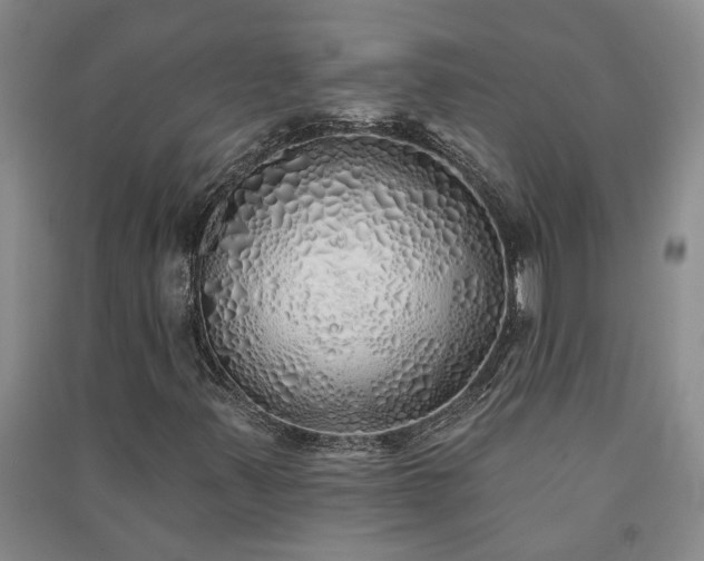 X0000091371347200708171536