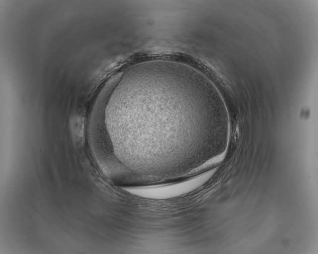 X0000091371348200708171536