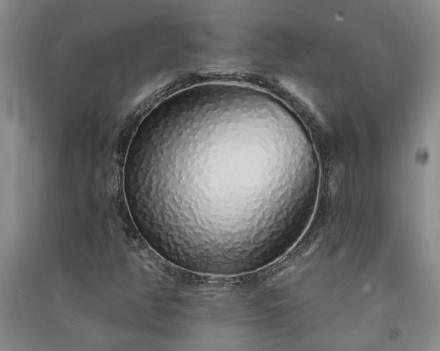 X0000091371350200708171536