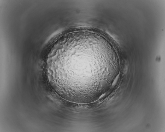 X0000091371351200708171536