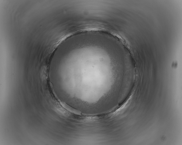 X0000091371353200708171536