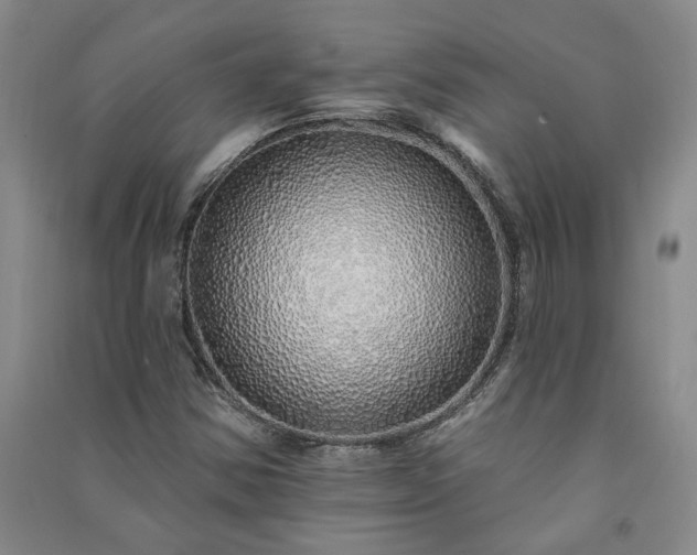 X0000091371354200708171536