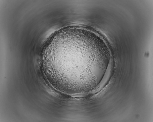 X0000091371355200708171536