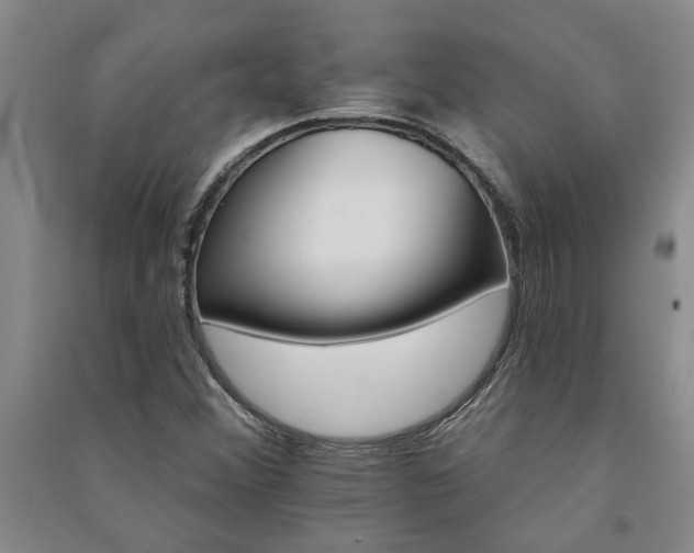 X0000091371356200708171536