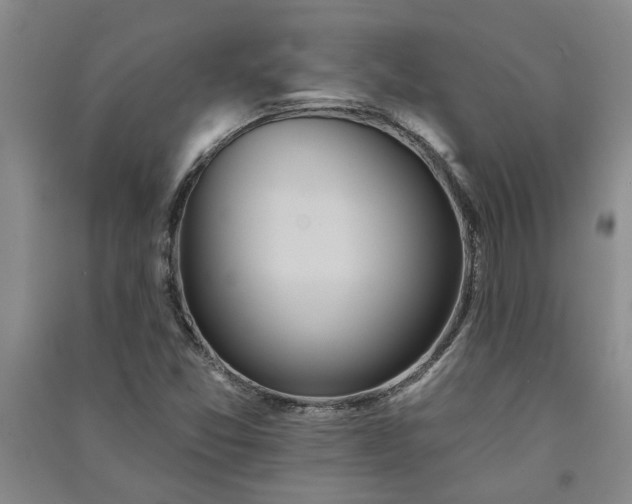 X0000091371357200708171536