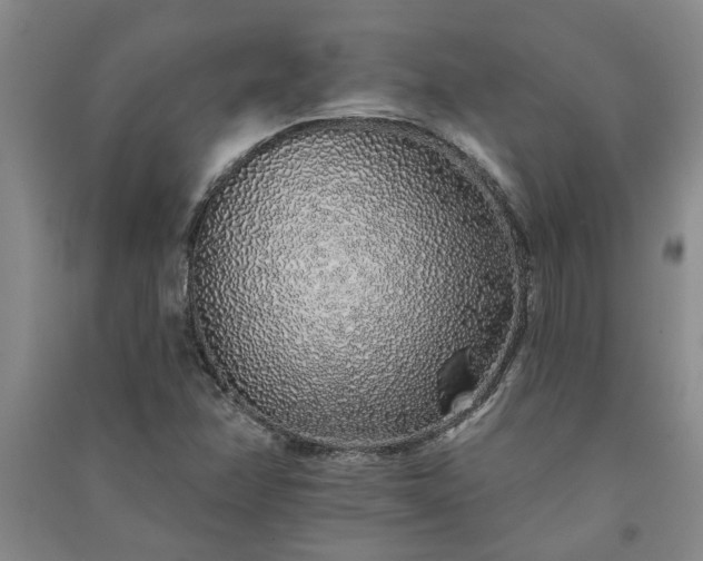 X0000091371358200708171536