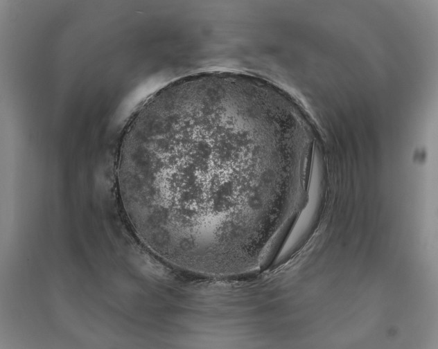 X0000091371359200708171536