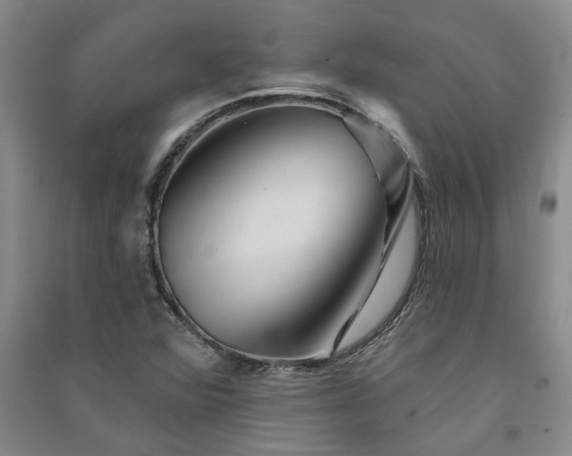 X0000091371360200708171536