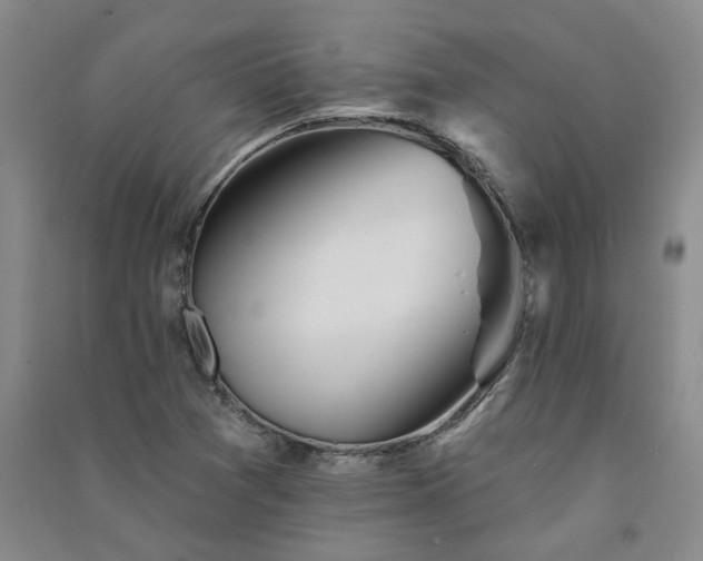 X0000091371361200708171536