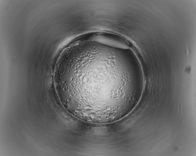 X0000091371363200708171536