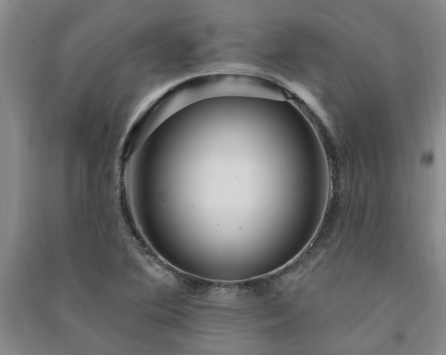 X0000091371364200708171536