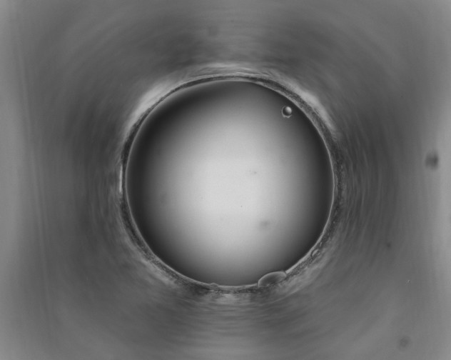 X0000091371365200708171536