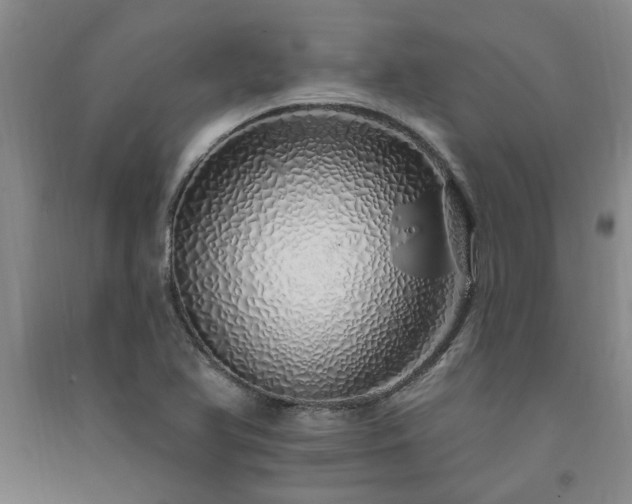 X0000091371366200708171536