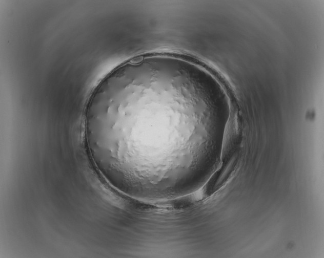 X0000091371367200708171536