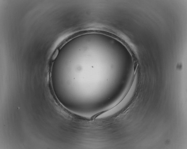 X0000091371368200708171536