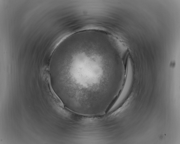 X0000091371369200708171536