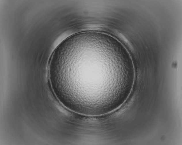 X0000091371370200708171536