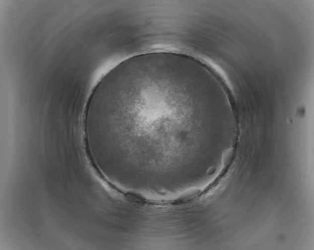 X0000091371373200708171536