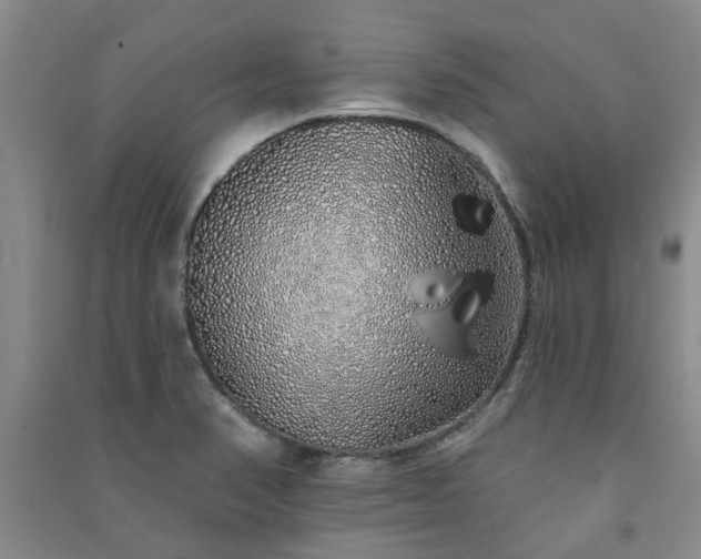 X0000091371374200708171536