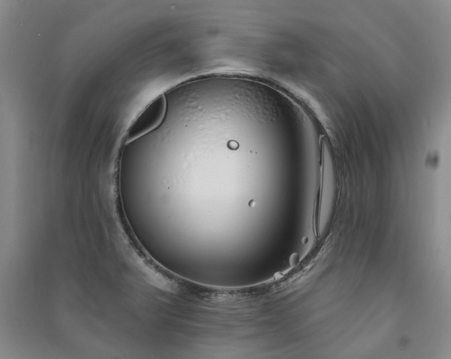 X0000091371375200708171536