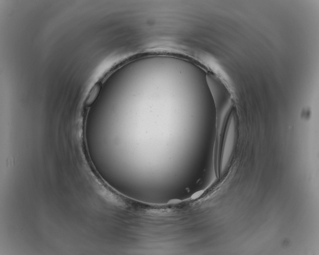 X0000091371376200708171536