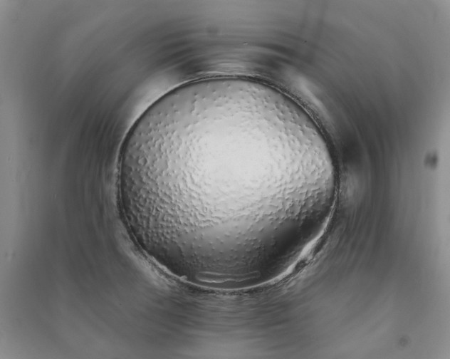 X0000091371378200708171536