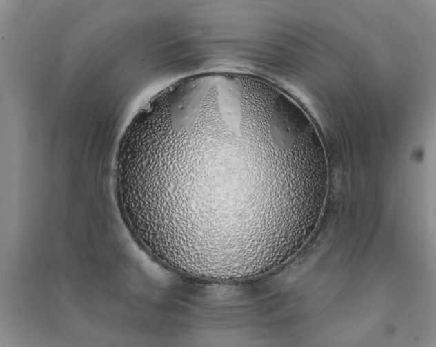 X0000091371379200708171536