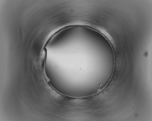 X0000091371380200708171536