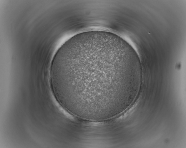 X0000091371381200708171536