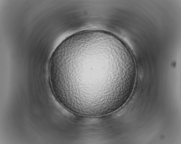 X0000091371382200708171535