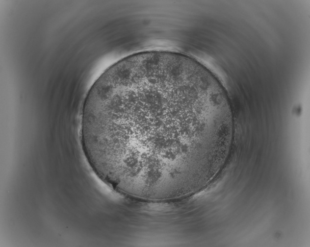 X0000091371383200708171535