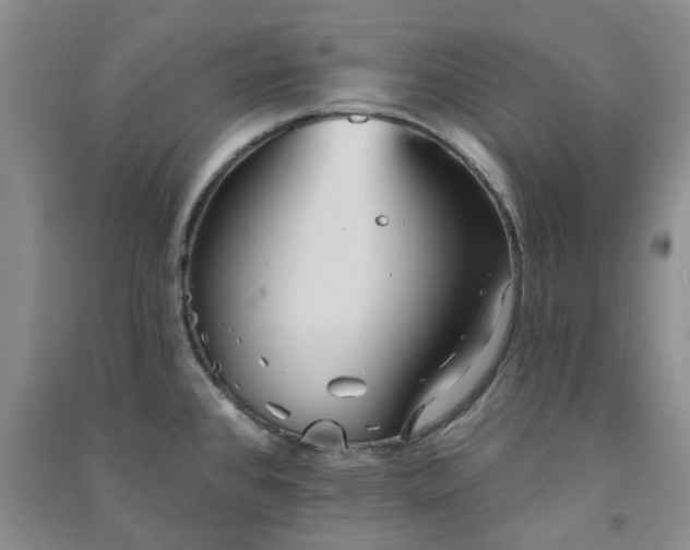 X0000091371384200708171535