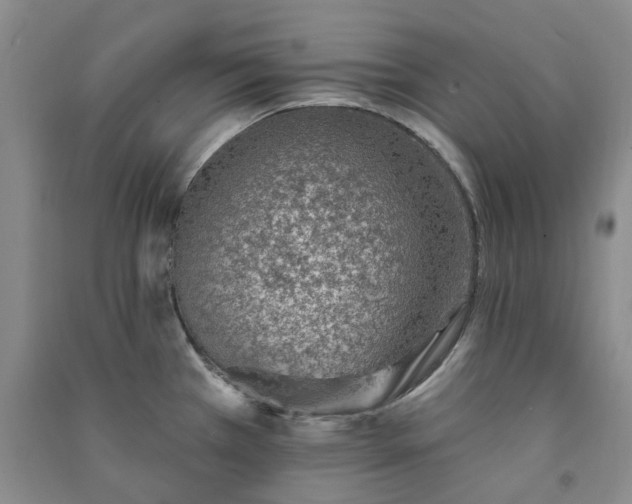 X0000091371385200708171535